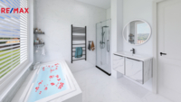 REMAX Delux