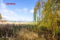 REMAX Delux