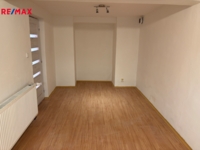 REMAX Delux