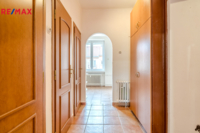 REMAX Delux