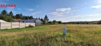 REMAX Delux