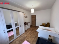 REMAX Delux