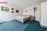 REMAX Delux