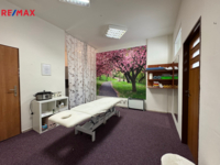 REMAX Brno