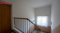 REMAX Delux