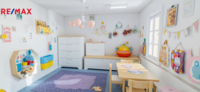 REMAX Delux