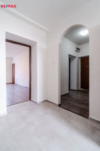REMAX Delux