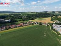 REMAX Delux