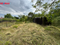 REMAX Delux