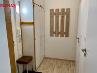 REMAX Delux