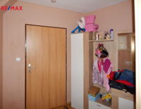 REMAX Delux