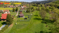 REMAX Delux