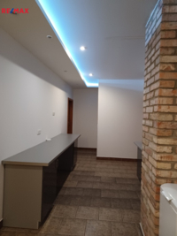 REMAX Delux