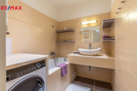 REMAX Delux