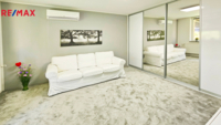 REMAX Delux