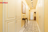 REMAX Delux