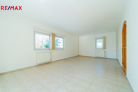 REMAX Delux