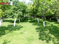REMAX Brno