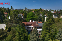REMAX Delux
