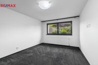 REMAX Delux