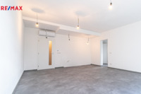 REMAX Delux