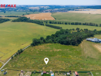 REMAX Delux