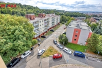 REMAX Delux