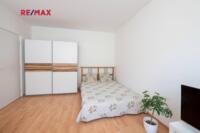 REMAX Delux