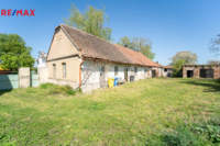 REMAX Delux