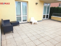 2915793.jpg