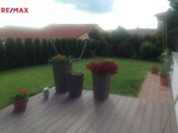 2903800.jpg