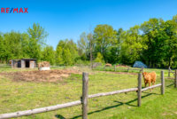REMAX Delux