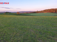 REMAX Delux