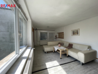 REMAX Delux
