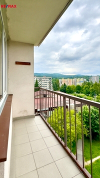 REMAX Delux