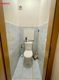REMAX Delux