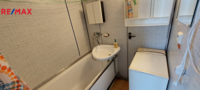 REMAX Delux