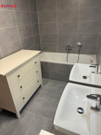 REMAX Delux