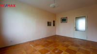 REMAX Delux
