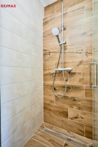 REMAX Delux