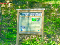 2770519.jpg