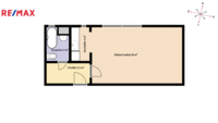 REMAX Delux