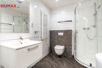 REMAX Delux