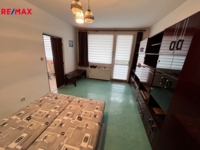 REMAX Delux