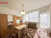 REMAX Delux