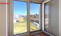 REMAX Delux