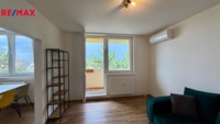 REMAX Delux