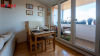 REMAX Delux