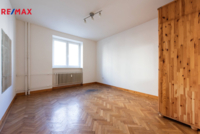REMAX Delux