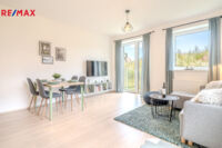 REMAX Delux